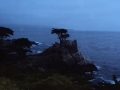 Lone Cypress Monterrey Penisula Comp