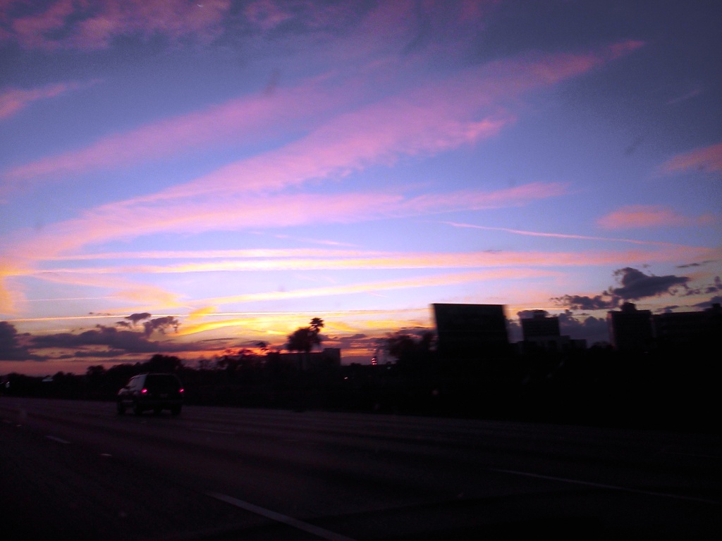 _Sunset Orlando Wed 1-25-12 why i called merri and she came the next day for pga show