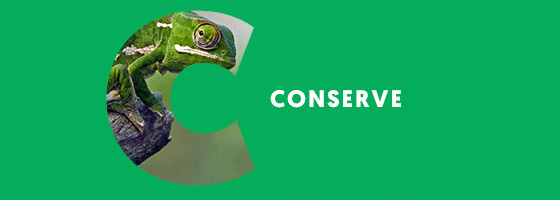 conserve-button