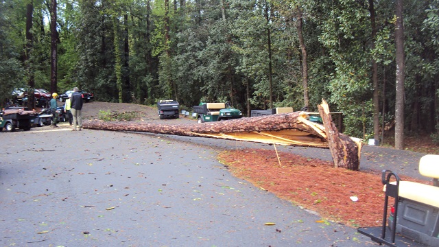 storm-tree-damage