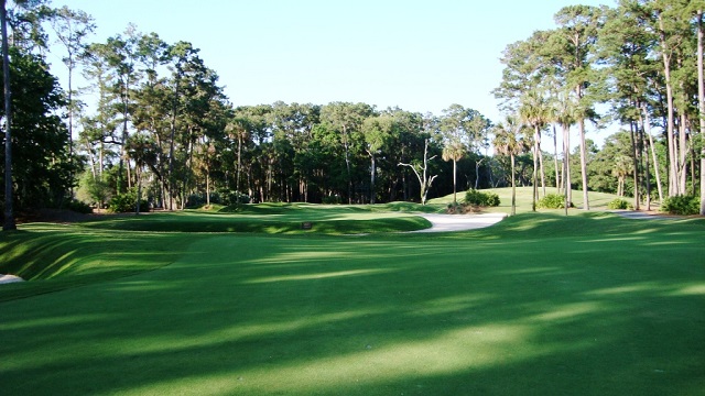 2008-5-35-640-players-tree-right-of-10-green