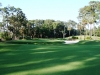 2008-5-35-640-players-tree-right-of-10-green
