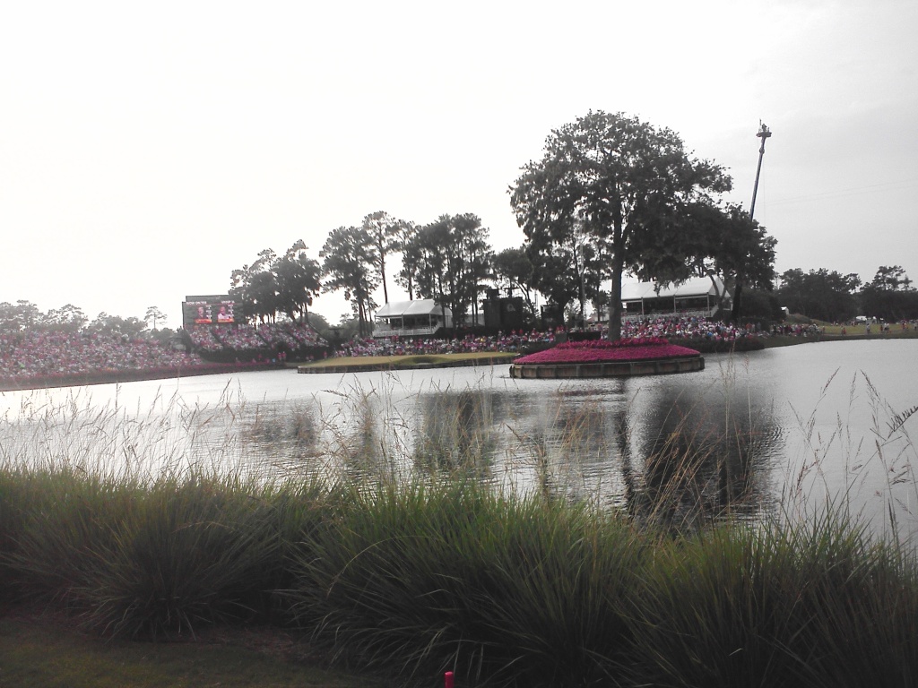 5   walking to par 3 17th tee from 16th par 5 green  note island flowers for Mother's Day and Cancer awareness