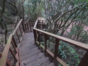 Wooden stairs took me safely down steep descents.