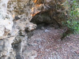 There was a small cave in the side of the cliff.