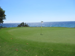 The green at the 463-yard par-4 17th green, the last of seven ocean front holes on Teeth of the Dog.