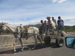 Past a horse-drawn taxi with limited speed capabilities but with no brake issues either.