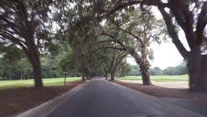 The entrance to Caledonia sets the tone for a memorable golfing and living experience!